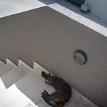 Marita House Sea View Χερσόνησος
